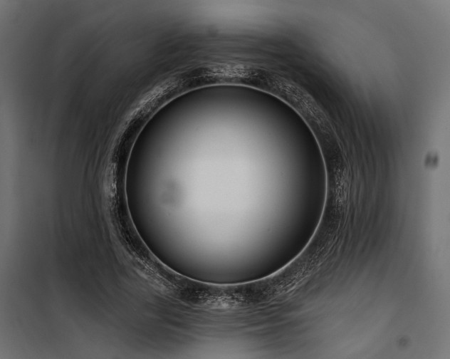 X0000100750731200806191143