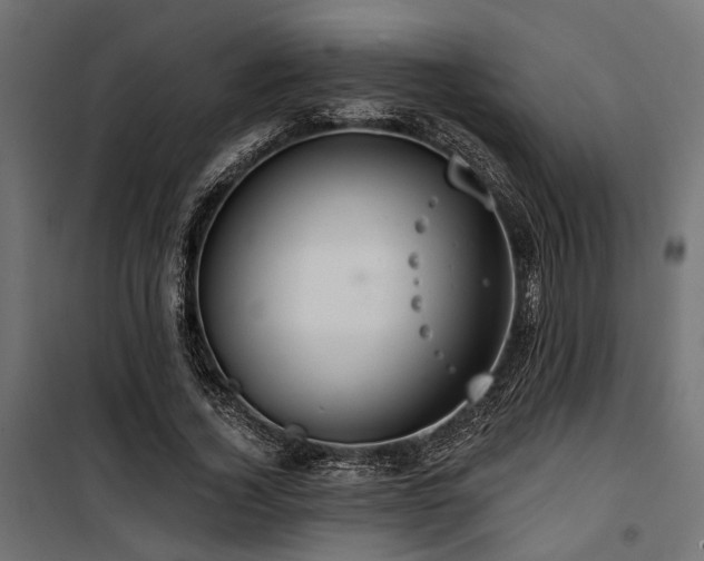 X0000100750732200806191143