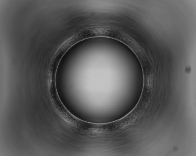 X0000100750733200806191143