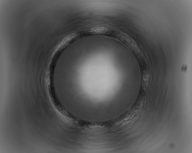 X0000100750734200806191143