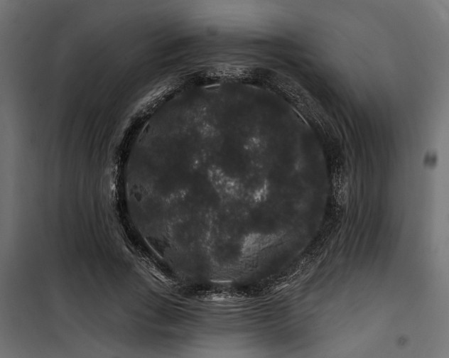 X0000100750735200806191143