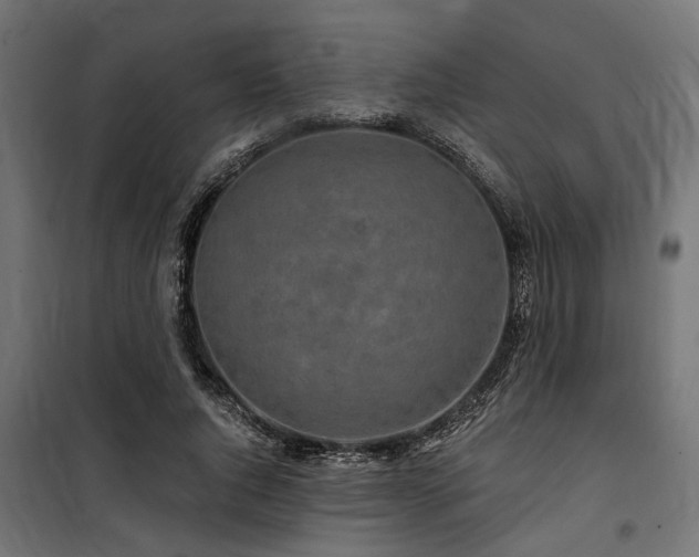 X0000100750736200806191143