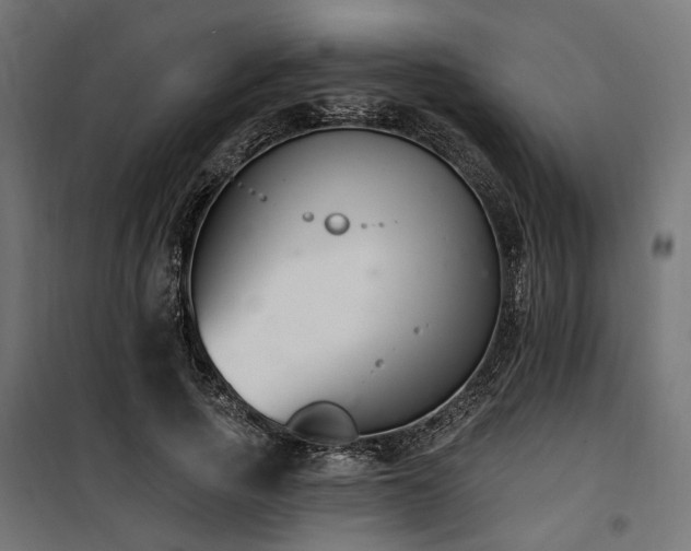 X0000100750737200806191143