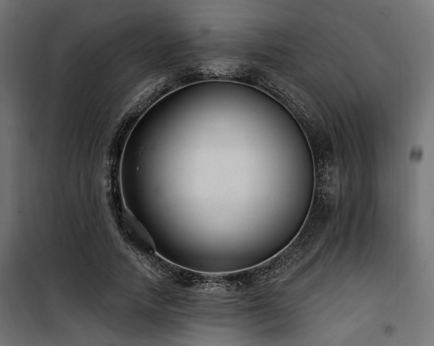 X0000100750738200806191143