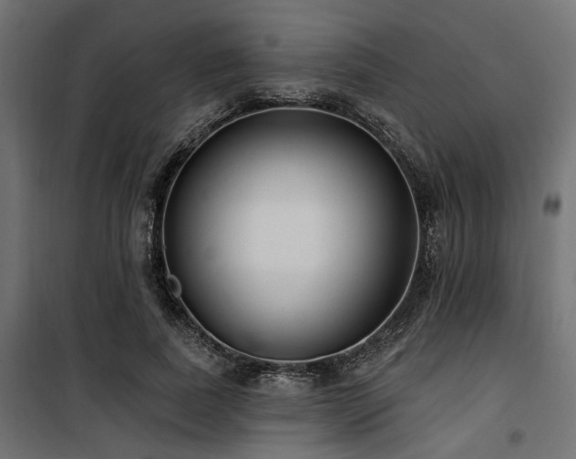 X0000100750739200806191143