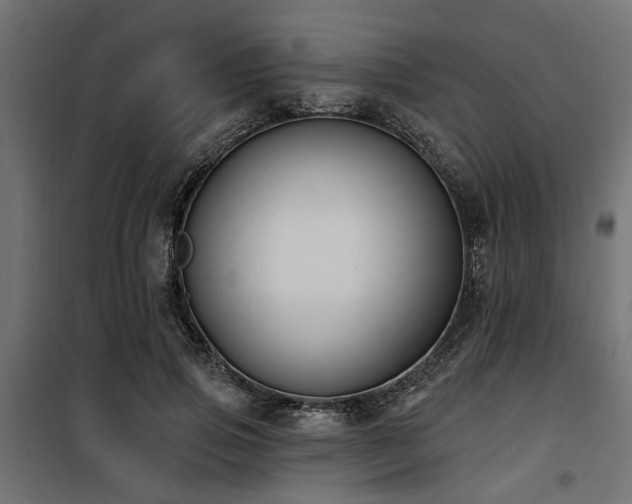 X0000100750741200806191143