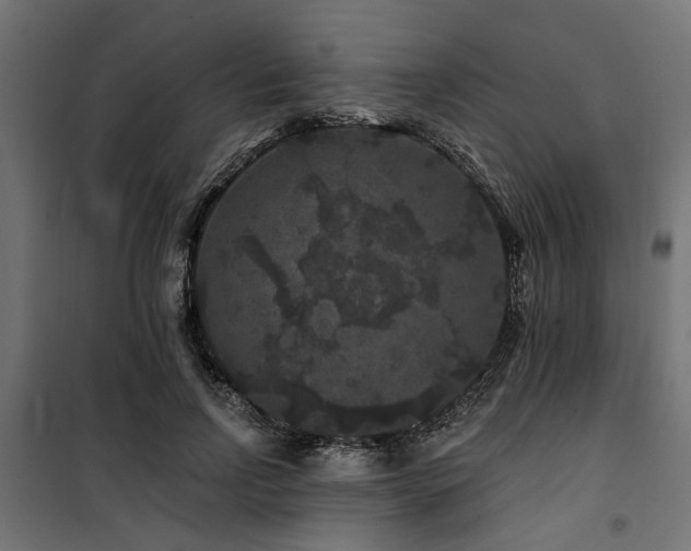 X0000100750742200806191143