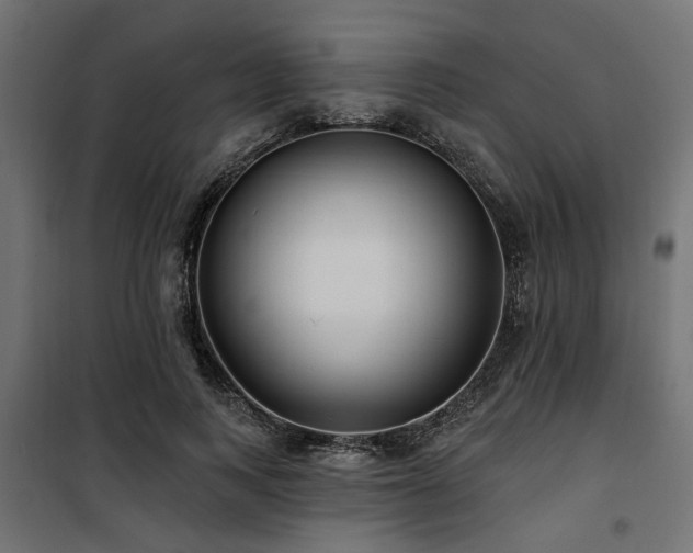 X0000100750743200806191143