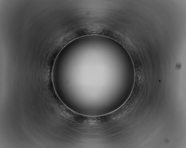 X0000100750745200806191143