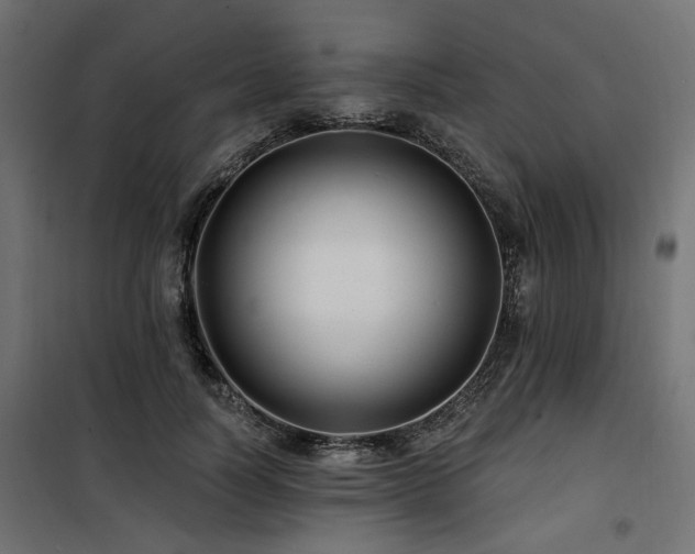 X0000100750746200806191143