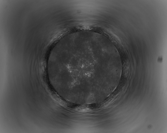 X0000100750747200806191143