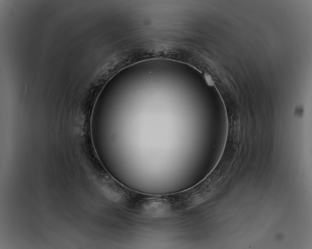 X0000100750750200806191143