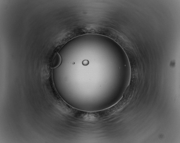 X0000100750751200806191143