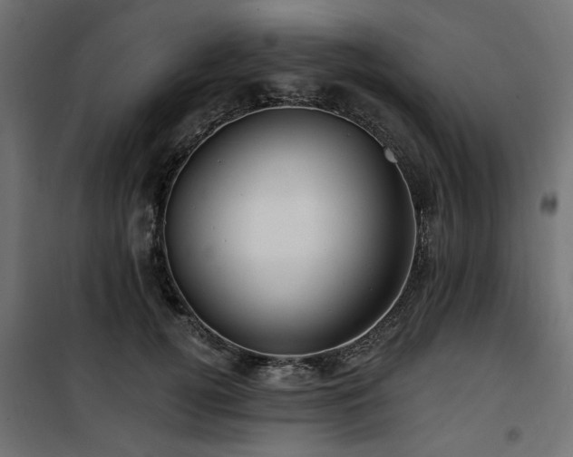 X0000100750752200806191143