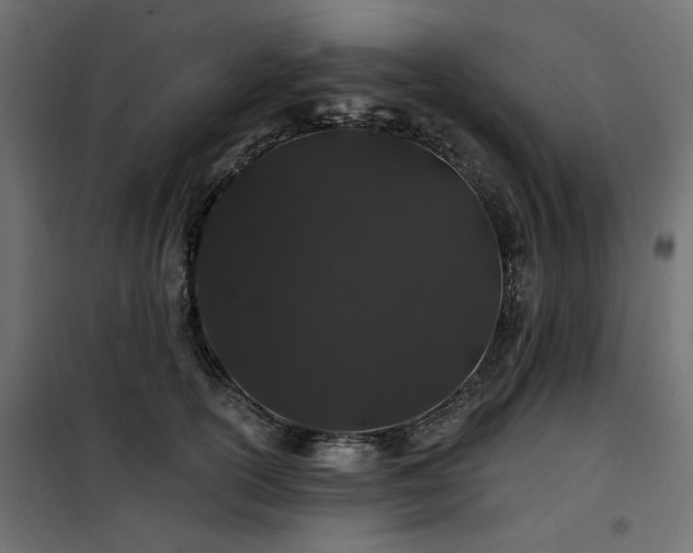 X0000100750754200806191143