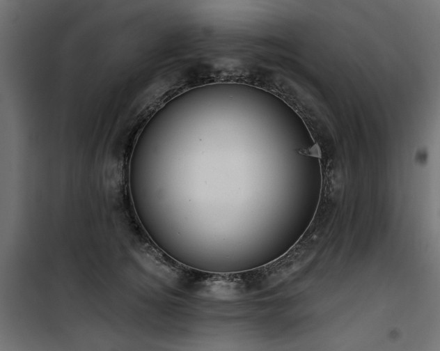 X0000100750756200806191143