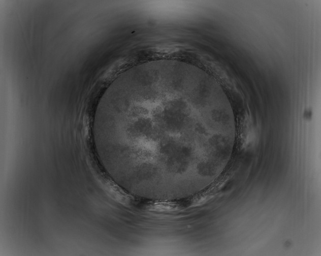 X0000100750758200806191143