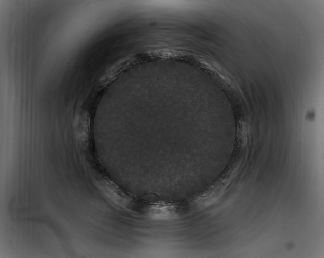 X0000100750760200806191143