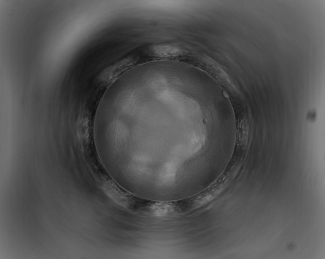 X0000100750762200806191143