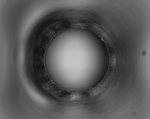 X0000100750764200806191143