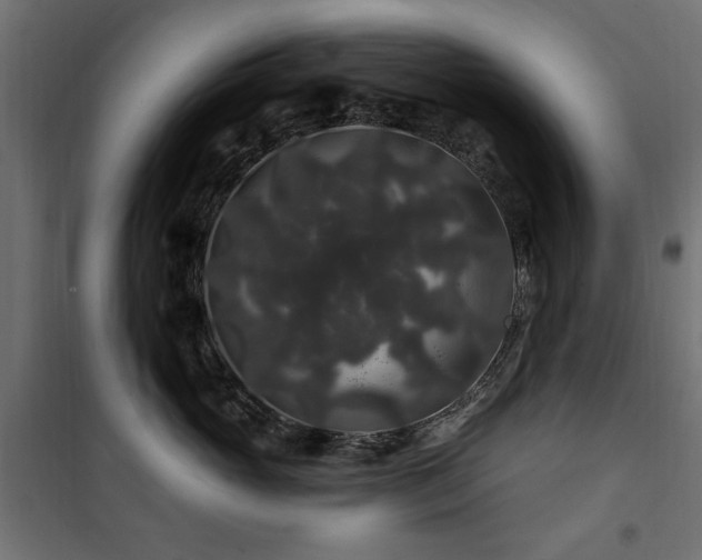 X0000100750765200806191143