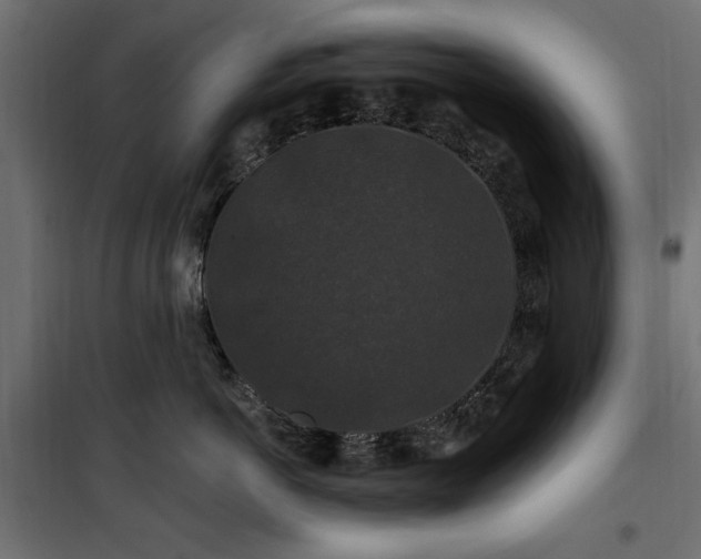 X0000100750766200806191143