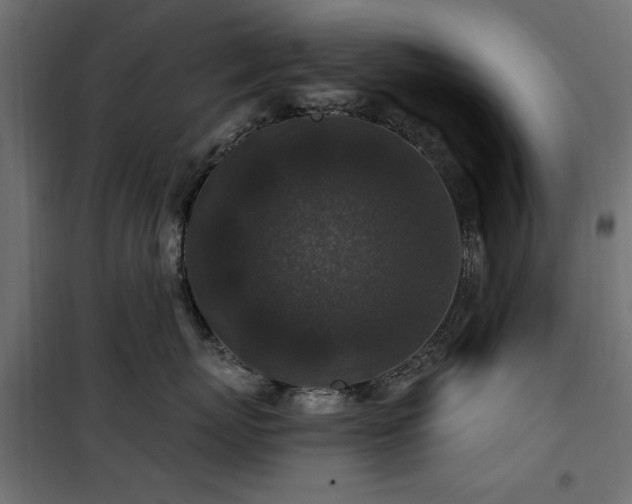 X0000100750767200806191143