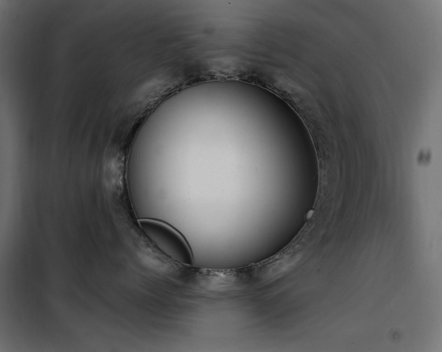 X0000100750768200806191143