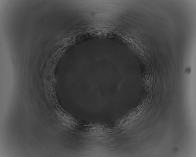 X0000100750769200806191143