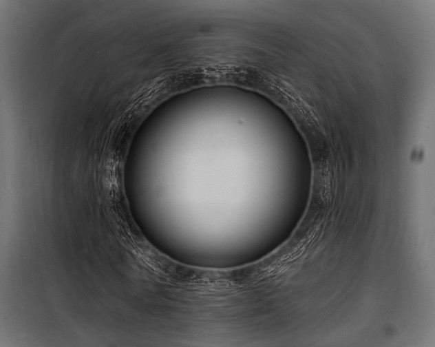 X0000100750770200806191143