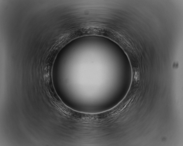 X0000100750771200806191143