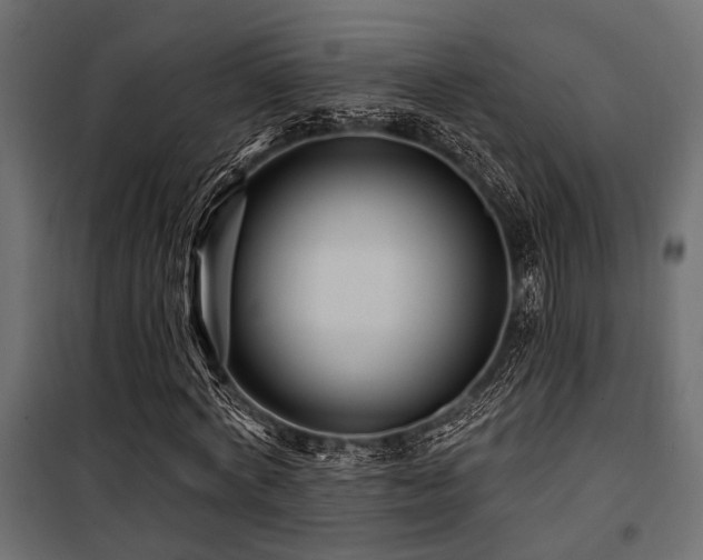 X0000100750772200806191143