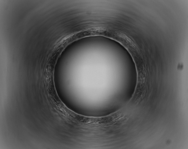 X0000100750773200806191143