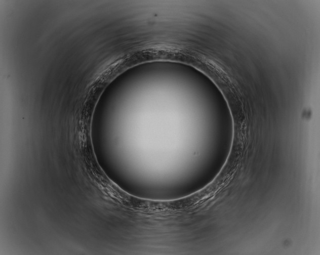 X0000100750774200806191143