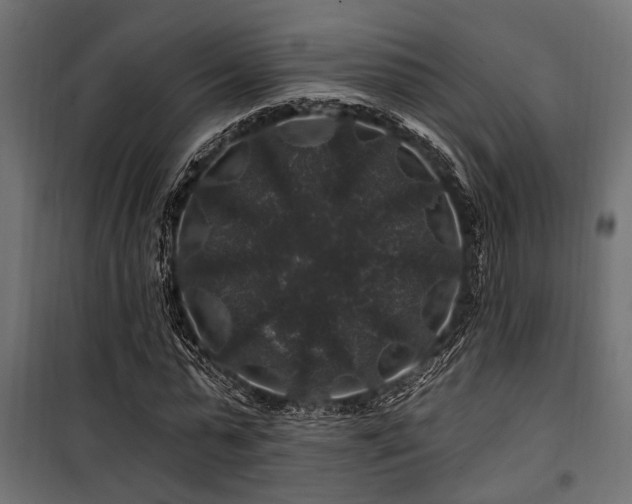 X0000100750775200806191143