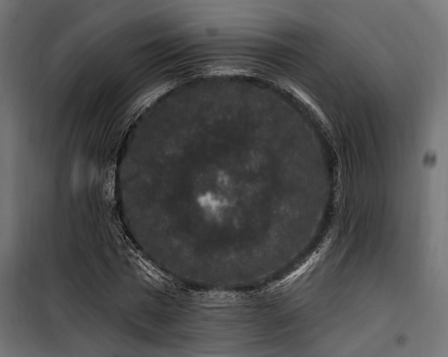 X0000100750777200806191142