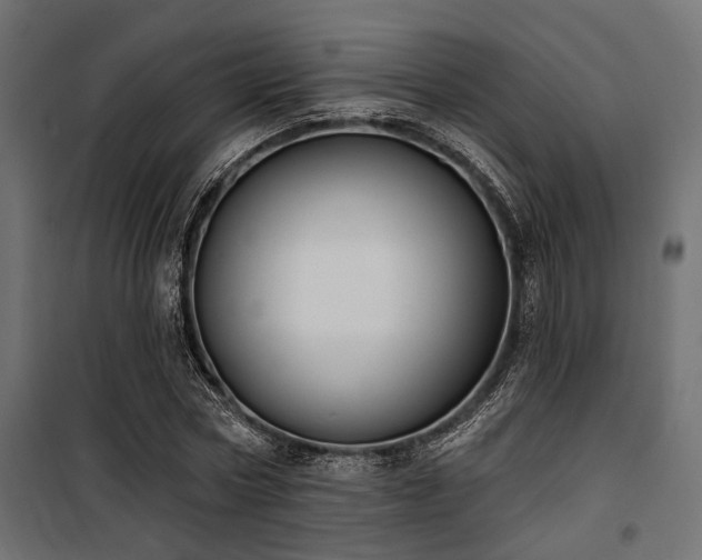 X0000100750778200806191142