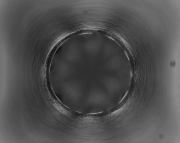 X0000100750779200806191142