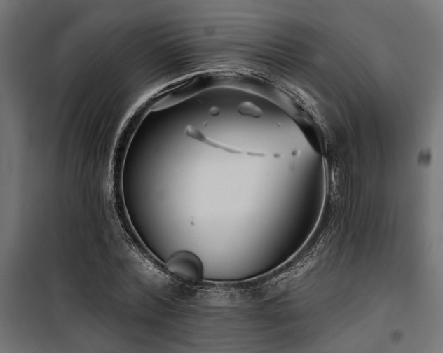 X0000100750780200806191142