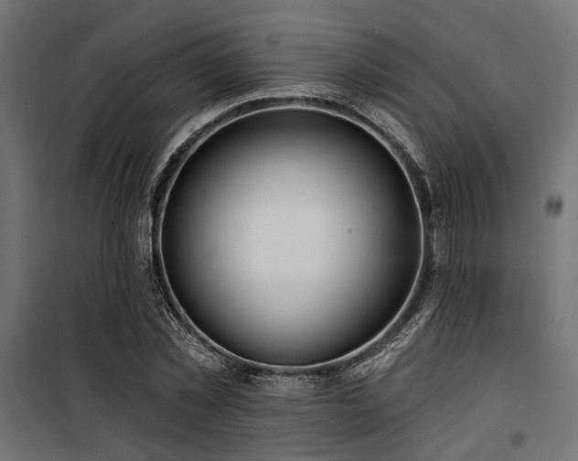 X0000100750781200806191142