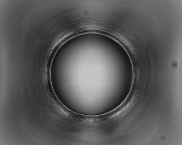 X0000100750782200806191142