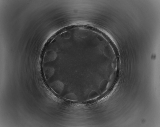 X0000100750783200806191142