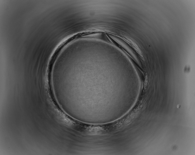 X0000100750784200806191142