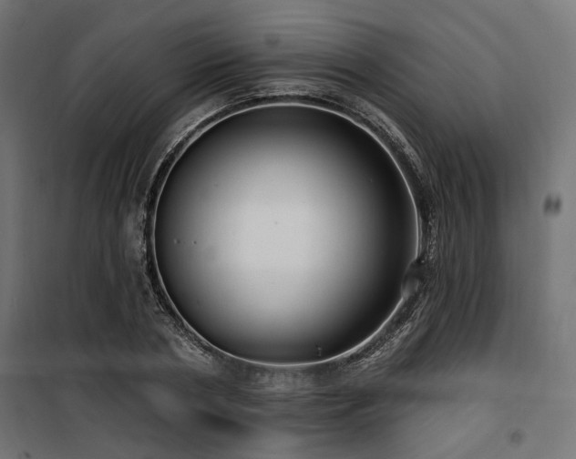 X0000100750786200806191142