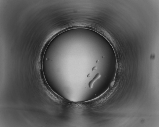 X0000100750787200806191142