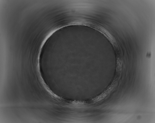 X0000100750788200806191142