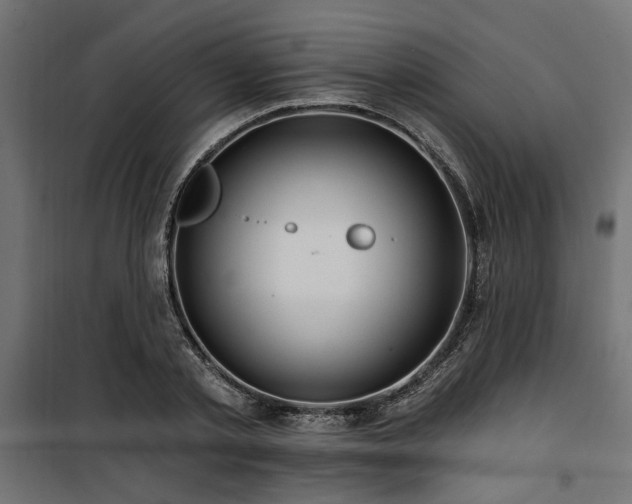 X0000100750789200806191142