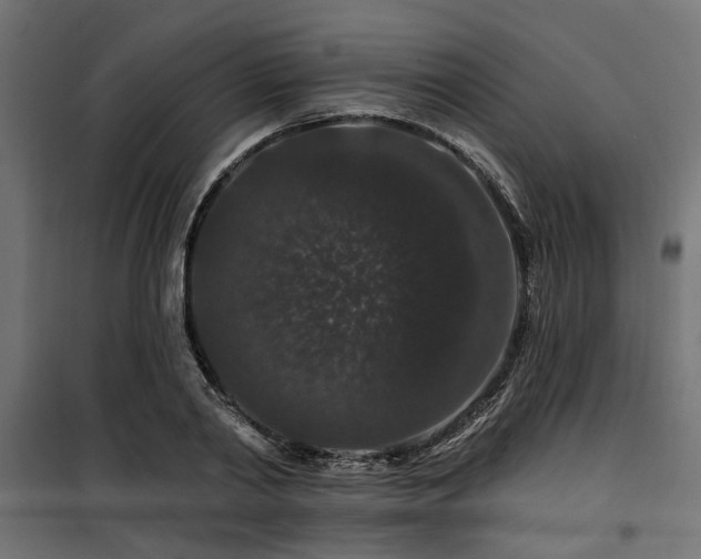 X0000100750790200806191142