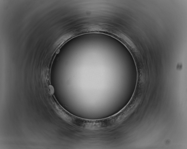 X0000100750793200806191142