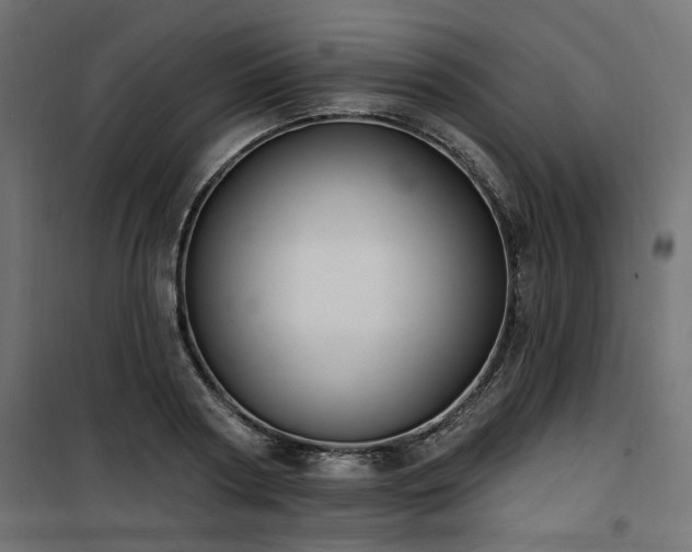 X0000100750794200806191142